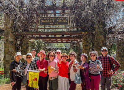 Tulips and Barbecues: An Aussie Spring Experience with CWCC