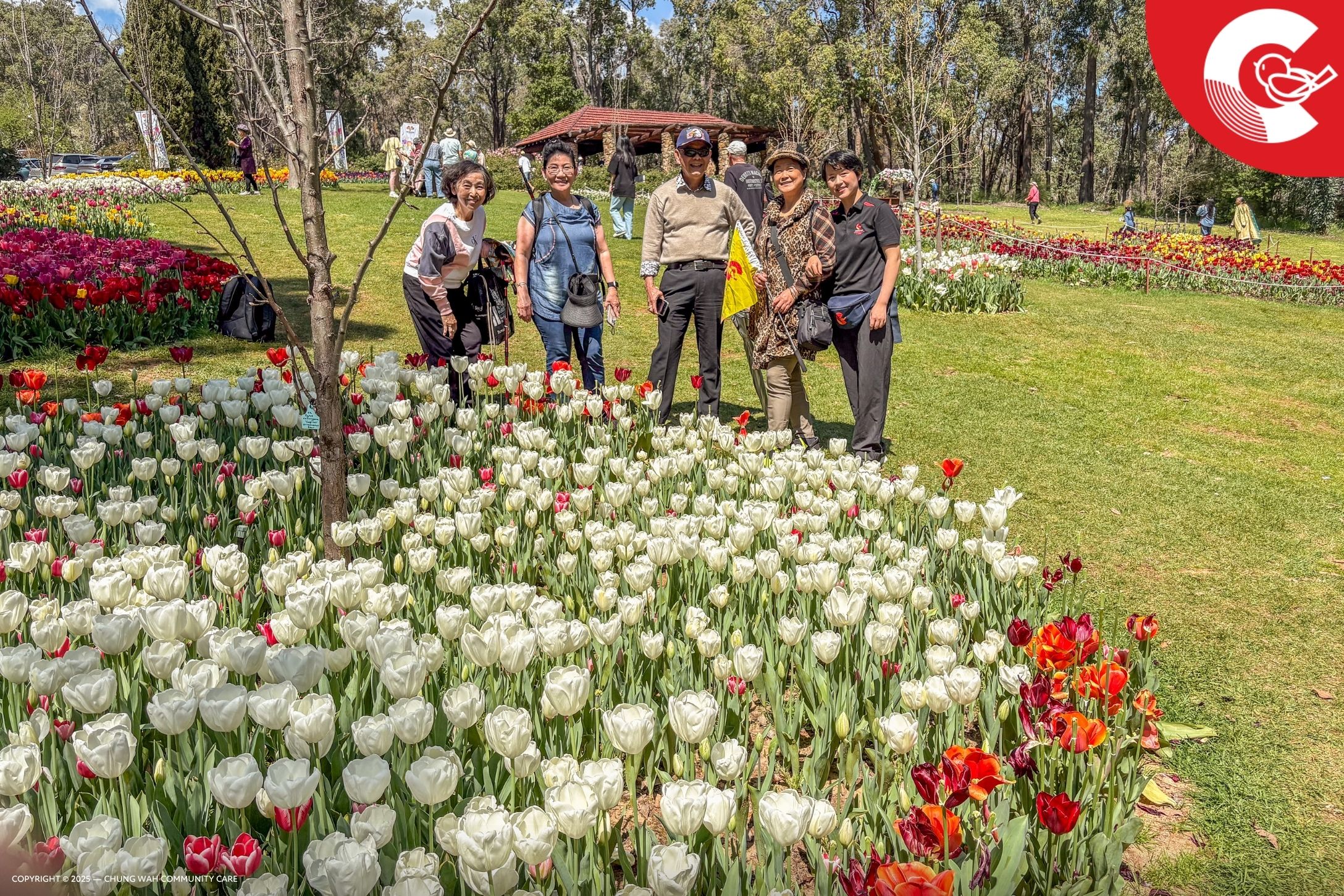 20251009 PP Australian Spring Tulips and BBQ 05